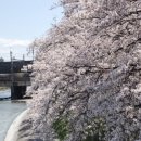 굿타임호스텔 이미지