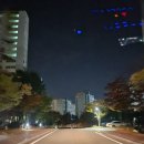 네일아르스 | Wedding 기록 18. 드디어 본식날 / 파티오벨라 본식 후기(Feat. 비올 웨딩, 에스띠아, 아르스노바)