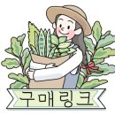 테이블가드닝 이미지