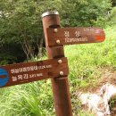 왕손가든 - 서귀포시 | 왕손가든