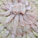 싱싱활어횟집 - 3251 | 싱싱활어횟집