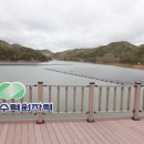 신흥리태양광발전소 이미지