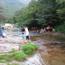 별천계곡 이미지