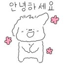 서신안경원 이미지