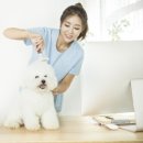 스타동물의료센터 이미지