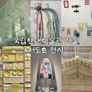 11545-03-12-22 | 서도호 전시 국립현대미술관 서울 | 당일 취소표 예약부터 무료 관람 후기