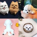 웨스트민스터포항애견미용학원