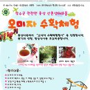 유영수 농장 이미지