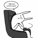 핑크선셋 이미지