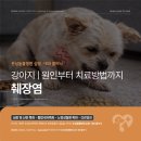 심동물병원 이미지