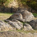 경산목장 이미지