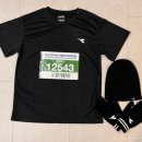 국제 | 수원국제하프마라톤 후기 10km 첫 도전 성공! 준비물 및 코스 꿀팁