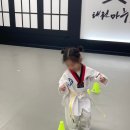 용인대 태권마루 태권도장 이미지