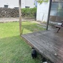 옹포소녀 이미지