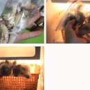 문용농장 이미지