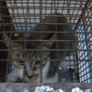 아람광고 - 동대문구 한천로17길 21 | 아람광고