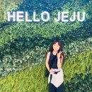 [JEJU] 제주여행 출발 썬 렌터카 제네시스 G80 렌트 후기 / 동문시장