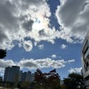 디지털시대의 농식품 마케팅 관리 | 병원마케팅 담당자가 느꼈던 성공 포인트