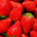 비타민사우나 이미지