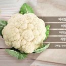 큐어필라테스 - 수원시 권선구 권선로509번길 2 | 큐어필라테스