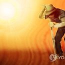 그늘막108 이미지