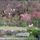 동해황토민박 이미지