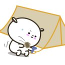 연천세계캠핑체험존 - 야영장 이미지