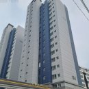 영문초등학교 이미지