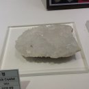 창조자연사박물관 이미지