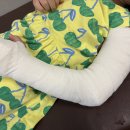 꽁냥이놀이터 이미지