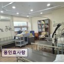 동백사랑마루요양원 | 용인시 요양원 추천! 용인효사랑 조비산 경관이 어우러진 휴식처