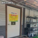 양평카 | 양평의 자연과 힐링, 문앤스타캠핑장 솔직 후기 🌿