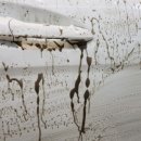 볼보공작소 이미지