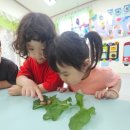 파주빅스맘어린이집 이미지