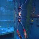 평동산단5번우로 | 광주 프리다이빙은 달고미프리다이빙에서! 딥스테이션 후기