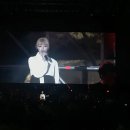 김대중평화문화제 티스토리