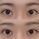 진흥초교 | 청주ㅣ청주 속눈썹펌 잘하는 곳 복대동 &#39;멋부림&#39;