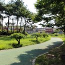 운남체육단지 이미지