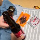 안면독스애견펜션 | 태안 [안면독스 애견펜션] 노견 꼬비도 안전하게 놀다왔어요