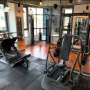 최고GYM