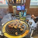 신마포갈매기 이미지