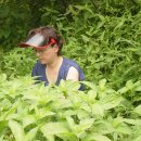 산성농장 이미지