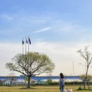 하단동1162 이미지