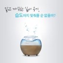 에스케어스 네이버블로그