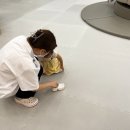 벨트야놀자 이미지