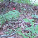 주몽농장 이미지