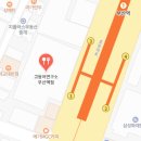 세일러스 고등어 연구소