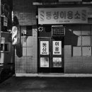 동성이용소