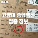 종합사료 | 6년차 집사의 고양이 종합백신 접종 후기&amp; 닥터힐메딕스 사료 정보