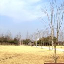 영종하늘도시15호 근린공원 이미지